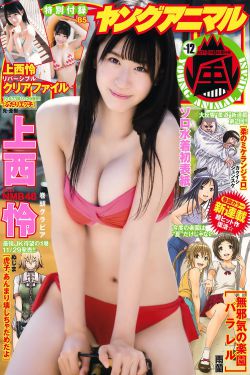 大盗宝藏算法