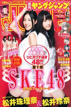 超级捕快破解版